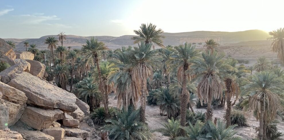 taghit-oasis